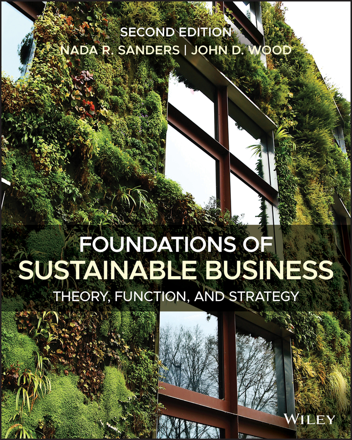 Foundations of Sustainable Business: Theory, Function, and Strategy 2nd Edition